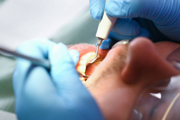 Best Emergency Cosmetic Dentistry in Flippin, AR